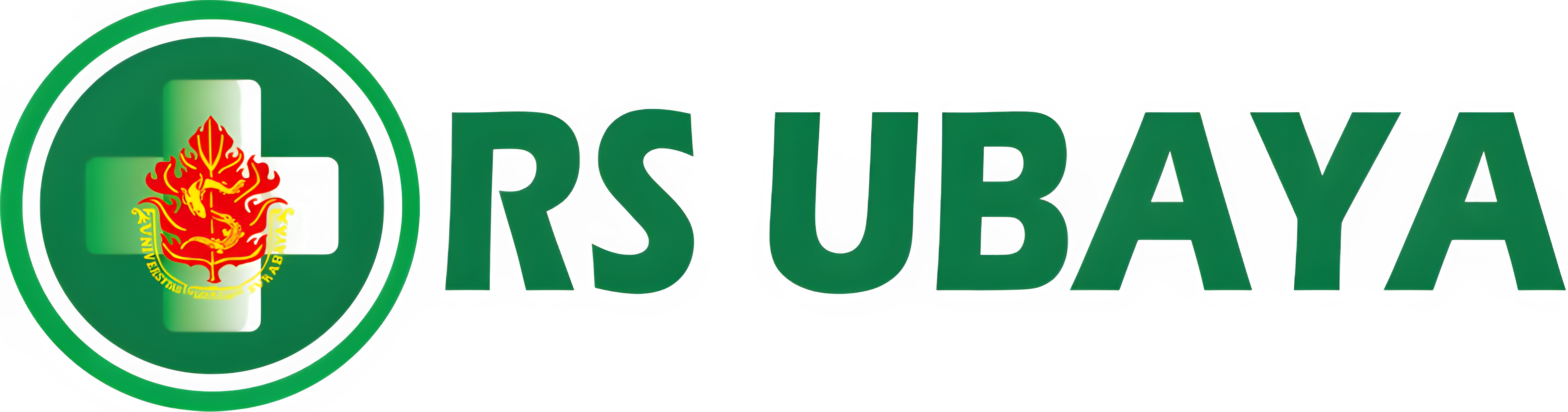 RS Ubaya